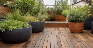 Les meilleures plantes pour remplir des grands pots sur une terrasse