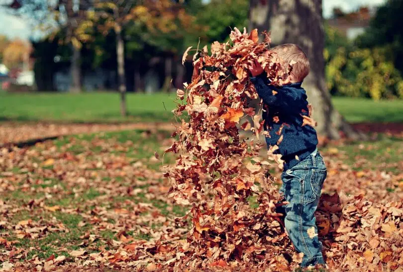 Enfants: 3 idées d'activités à l'approche de l'été